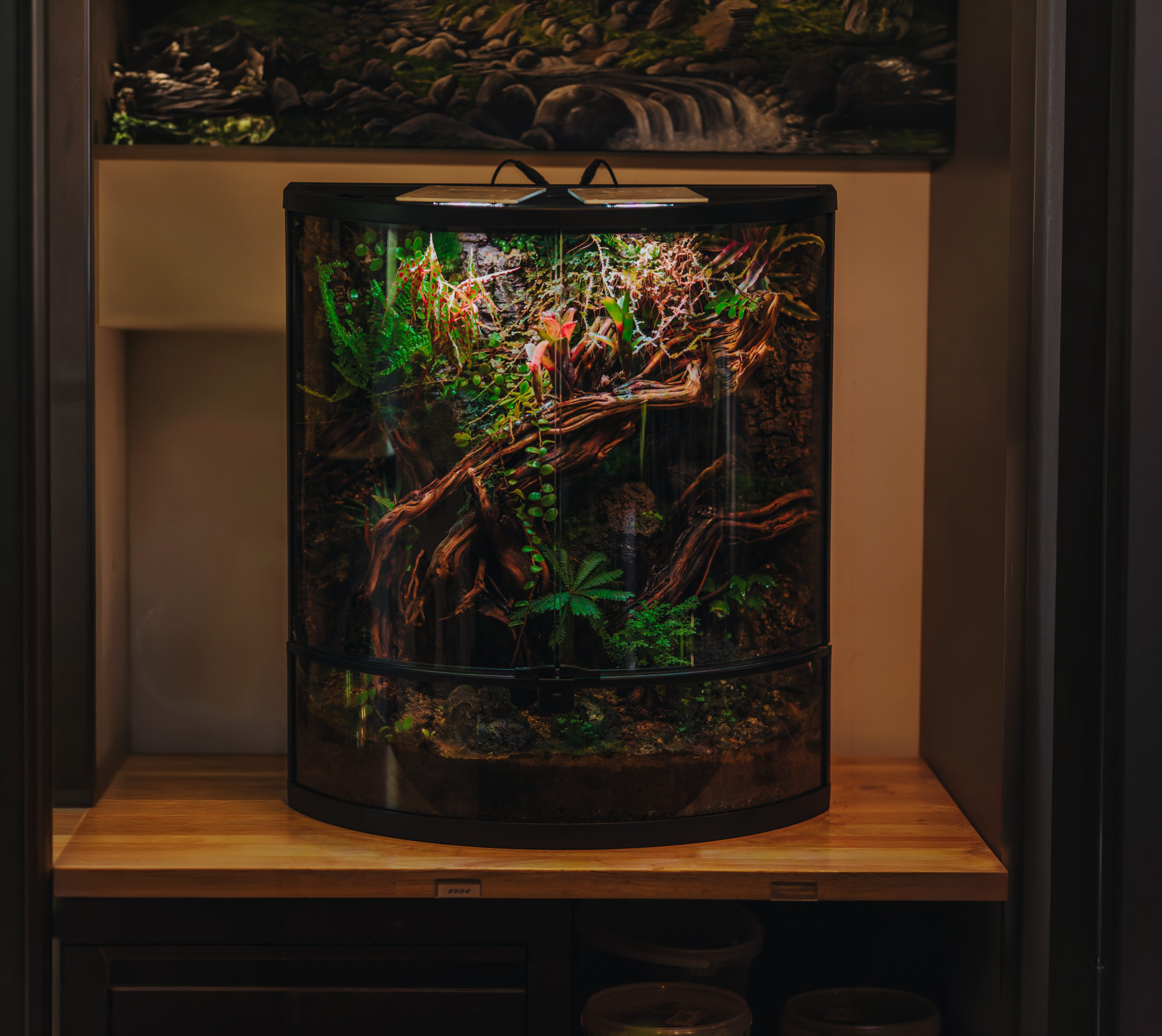 Grand terrarium artisanal sur-mesure avec racines et plantes tropicales