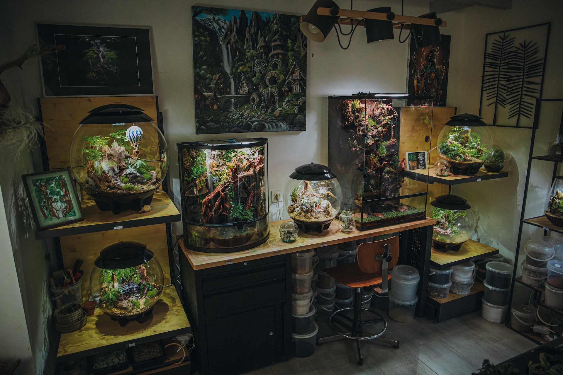 Espace de création de l'atelier terrarium à Locoal-Mendon