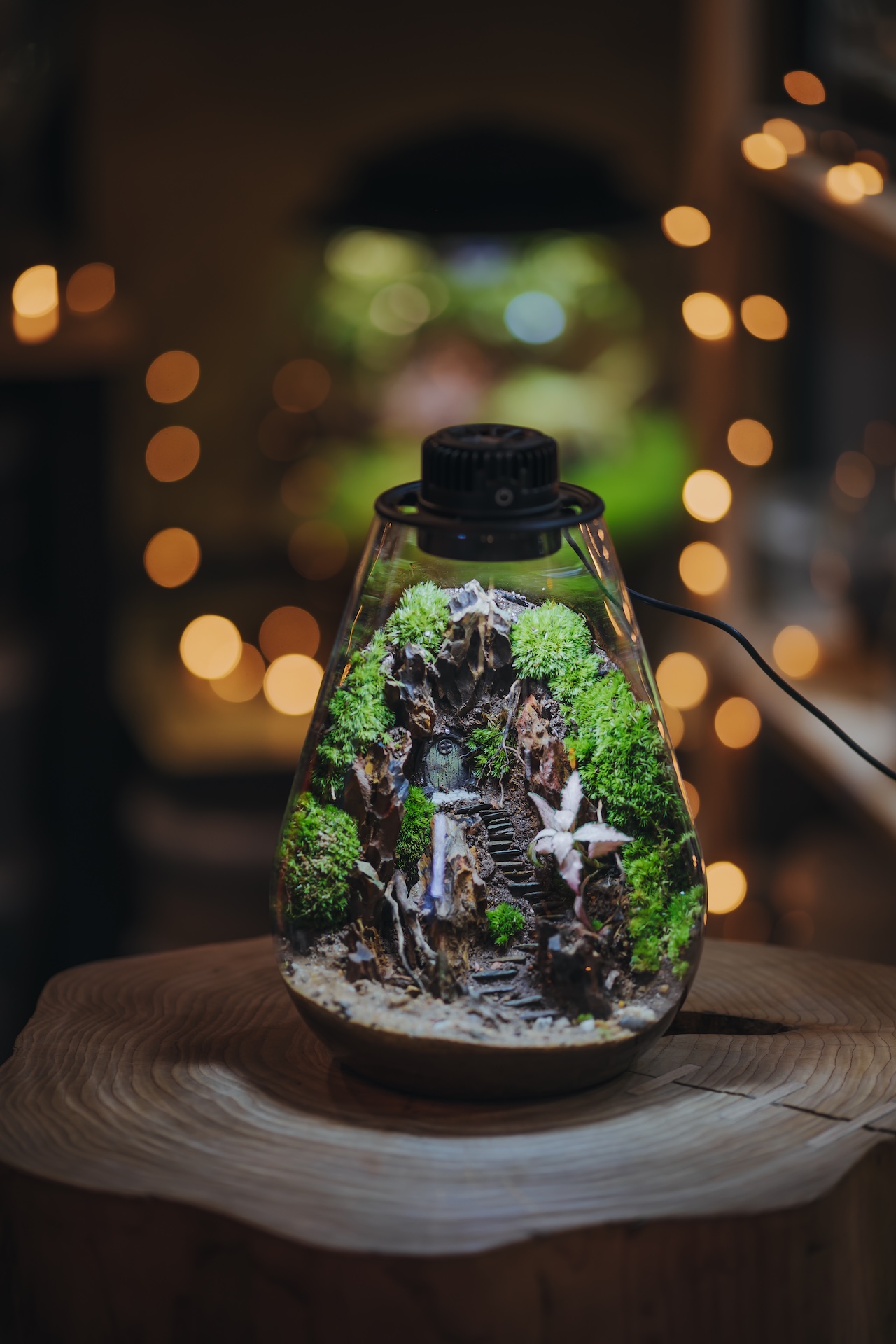 Terrarium en bocal éclairé avec cascade miniature, création de l'atelier de Locoal-Mendon