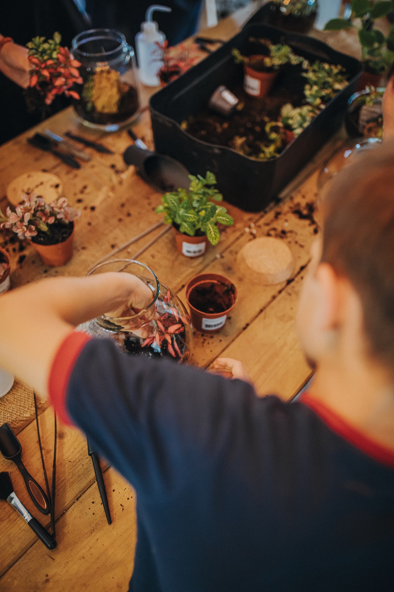 Enfant composant son terrarium artisanal à l'atelier en Morbihan