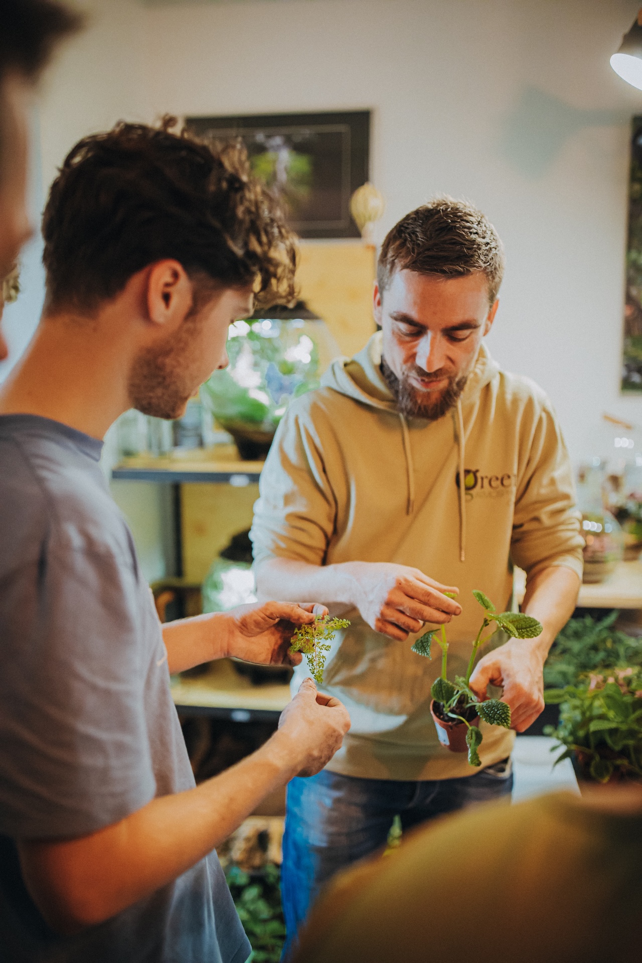 Le créateur conseille un client sur les plantes d'un terrarium artisanal