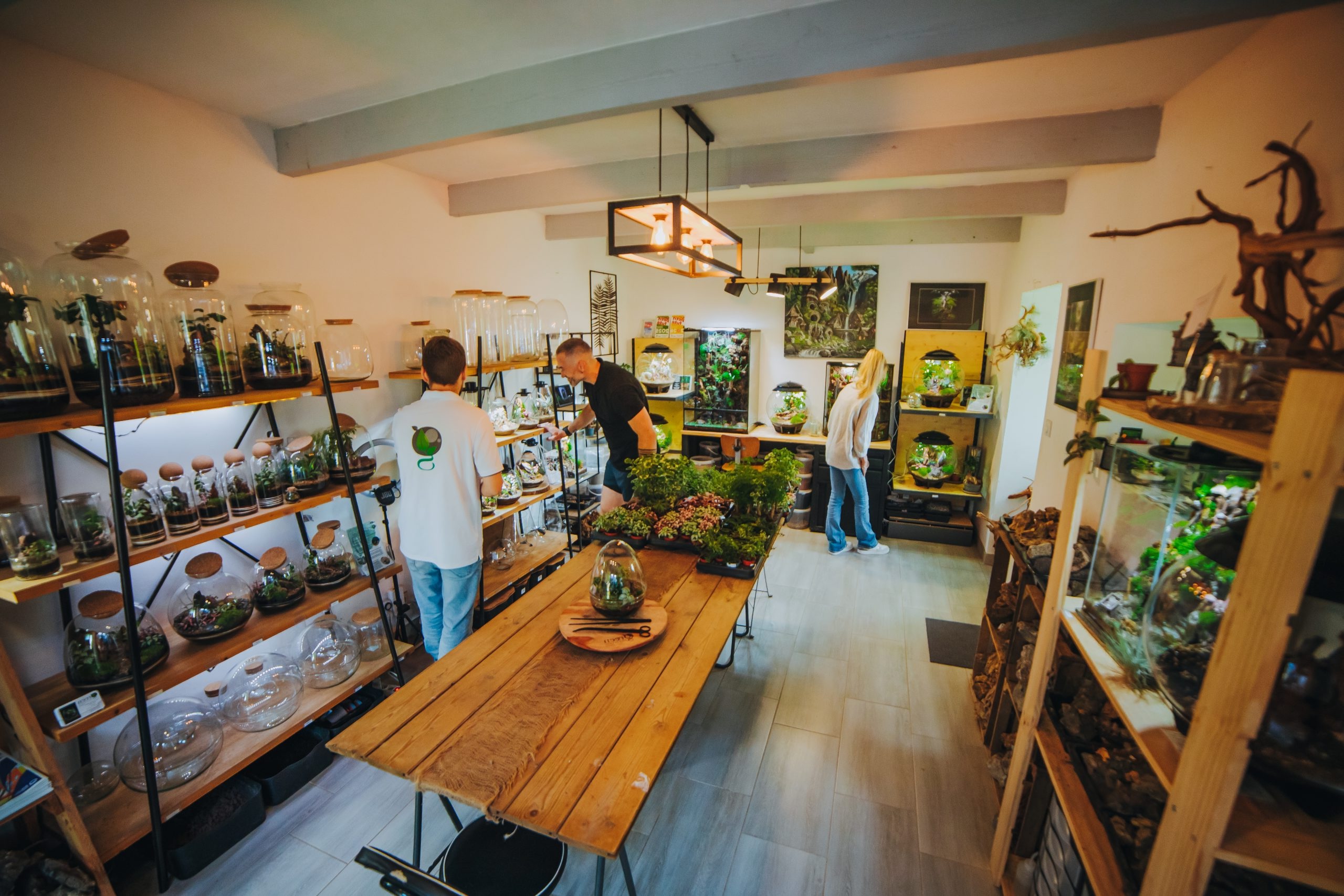 Showroom de terrariums artisanaux à Locoal-Mendon, dans le Morbihan