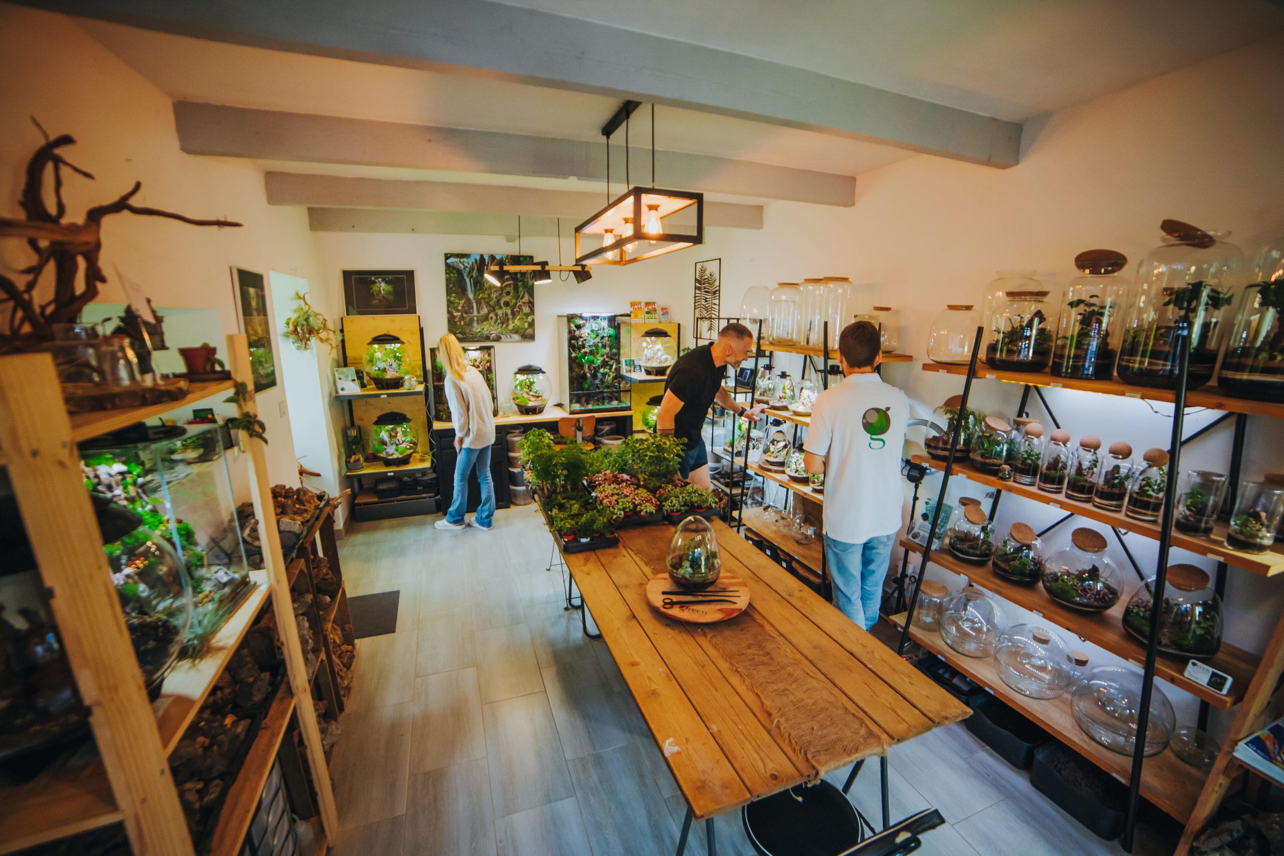 Intérieur de l'atelier terrarium Green Atmosphère Créations à Locoal-Mendon