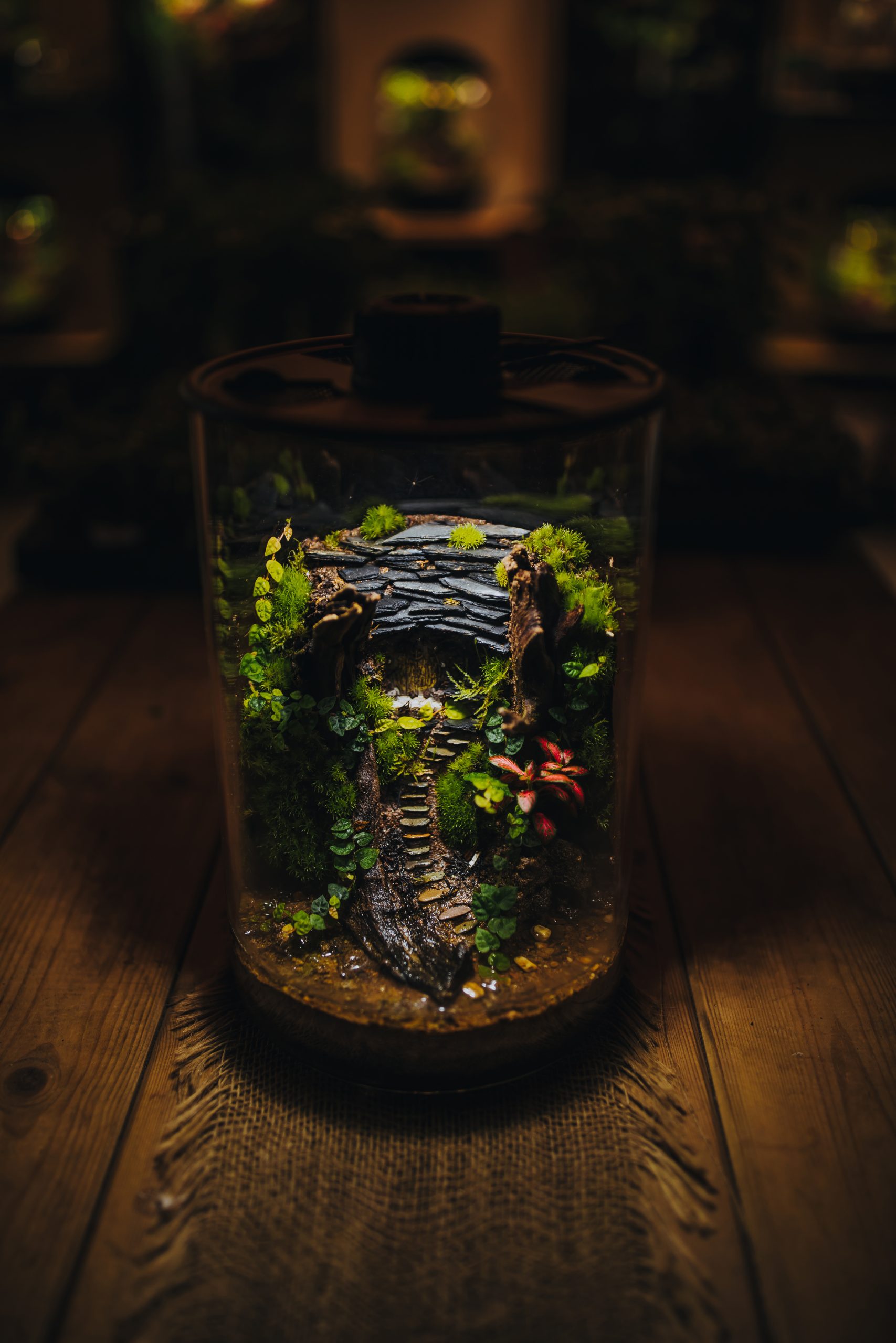 Terrarium lumineux réalisé à l'atelier de Locoal-Mendon